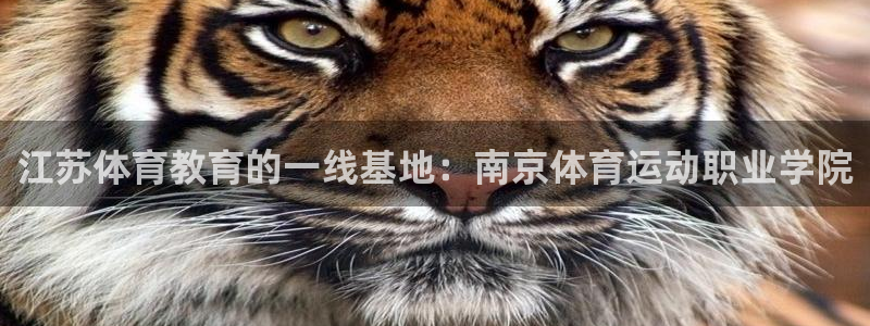 xc体育：江苏体育教育的一线基地：南京体育运动职业学院