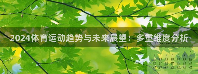xc体育：2024体育运动趋势与未来展望：多重维度分析