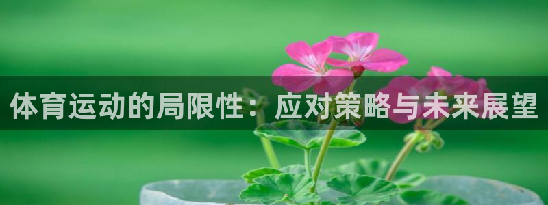 xc体育app官方网站：体育运动的局限性：应对策略与未来展望