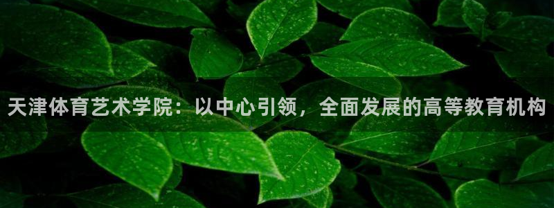 xc体育app官方网站：天津体育艺术学院：以中心引领，全面发展的高等教育机构