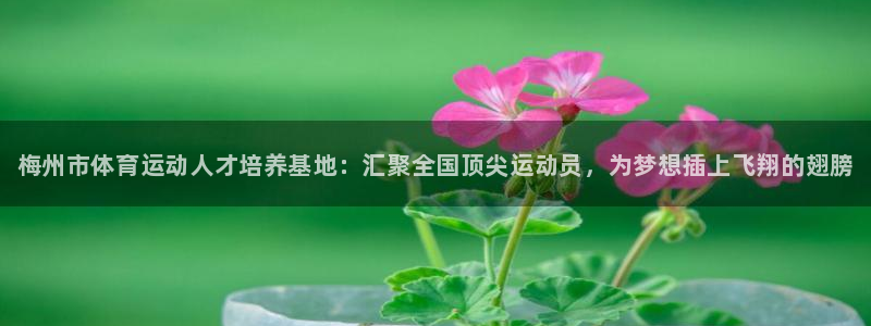 xc体育：梅州市体育运动人才培养基地：汇聚全国顶尖运动员，为梦想插上飞翔的翅膀