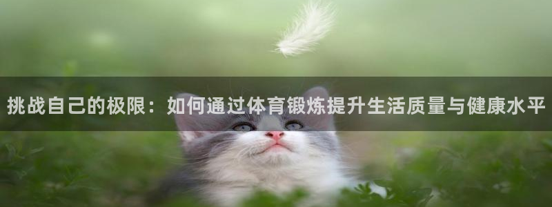 xc体育