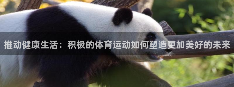 xc体育app官方网站：推动健康生活：积极的体育运动如何塑造更加美好的未来
