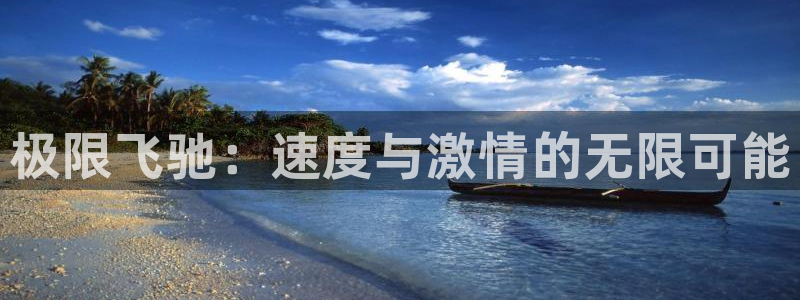 xc体育app官方网站：极限飞驰：速度与激情的无限可能