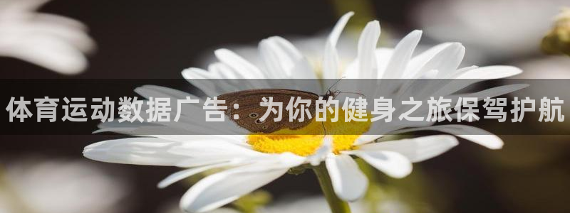 xc体育app官方网站：体育运动数据广告：为你的健身之旅保驾护航