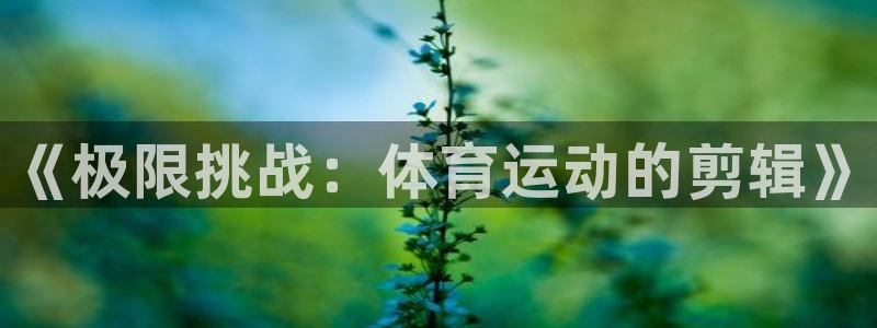 xc体育：《极限挑战：体育运动的剪辑》