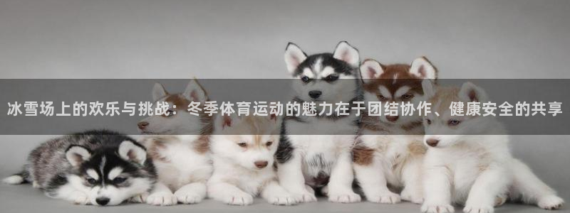 xc体育app官方网站：冰雪场上的欢乐与挑战：冬季体育运动的魅力在于团结协作、健康安全的共享