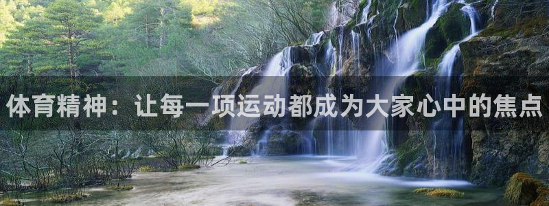 xc体育：体育精神：让每一项运动都成为大家心中的焦点